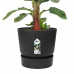 Bananenplant in Elho® Greenville pot