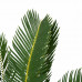 Decorum Cycas Revoluta met Elho brussels antracite