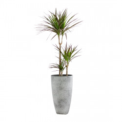 Plant-pot combination